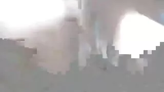 Фалоімітатор більше не потрібен, тому що блондинка знайшла чорного чоловіка для прно відео міжрасового анала